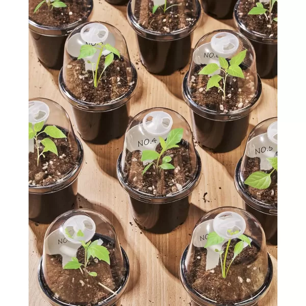 homenote Clear Nursery Pots for Plants,4 Inch Seedling Pots with Drainage Holes Plant Pot for Planting Flower Indoor Seed Starter Pot Outdoor High Transparency with Bonus 20 Plant Labels 