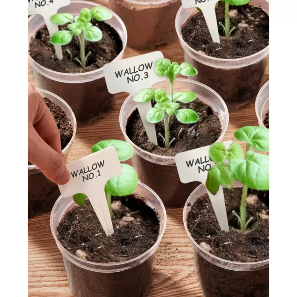 homenote Clear Nursery Pots for Plants,4 Inch Seedling Pots with Drainage Holes Plant Pot for Planting Flower Indoor Seed Starter Pot Outdoor High Transparency with Bonus 20 Plant Labels 