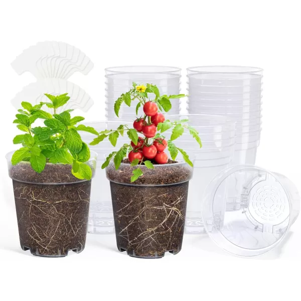 homenote Clear Nursery Pots for Plants,4 Inch Seedling Pots with Drainage Holes Plant Pot for Planting Flower Indoor Seed Starter Pot Outdoor High Transparency with Bonus 20 Plant Labels 