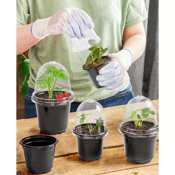 homenote Nursery Pots for Plants,3.5 Inch Plant Pot for Planting Plastic Seedling Pots with Drainage Holes Flower Indoor Seed Starter Pot Outdoor High with Bonus 10 Plant Labels Black 