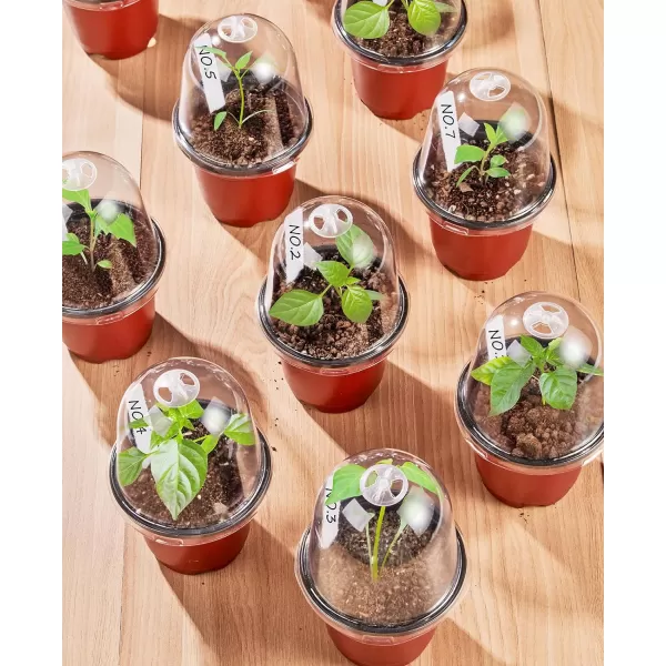 homenote Nursery Pots for Plants,3.5 Inch Plant Pot for Planting Plastic Seedling Pots with Drainage Holes Flower Indoor Seed Starter Pot Outdoor High with Bonus 10 Plant Labels Black 