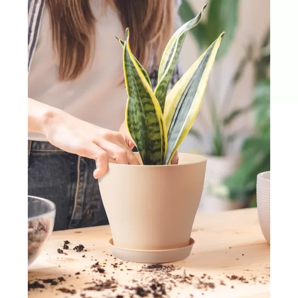 homenote Plant Pots, Set of 15 Plastic Planters with Multiple Drainage Holes and Tray 6 inch Indoor Plant Pot for All Home Garden Flowers Succulents 