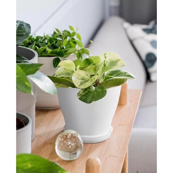 homenote Plant Pots, Set of 15 Plastic Planters with Multiple Drainage Holes and Tray 6 inch Indoor Plant Pot for All Home Garden Flowers Succulents 