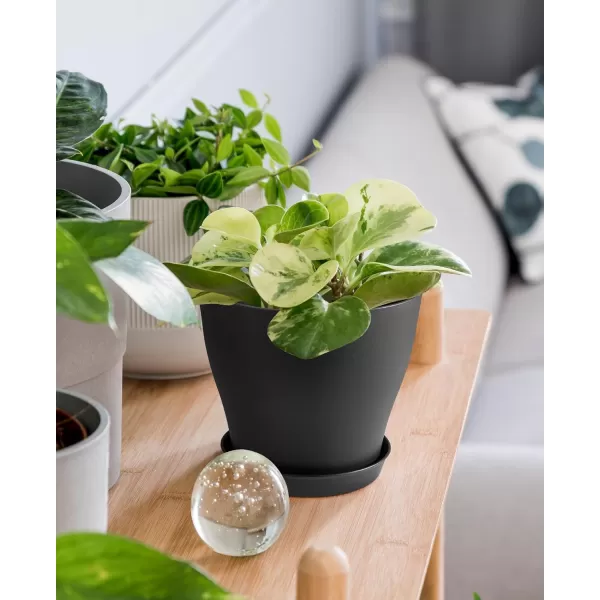 homenote Plant Pots, Set of 15 Plastic Planters with Multiple Drainage Holes and Tray 6 inch Indoor Plant Pot for All Home Garden Flowers Succulents 