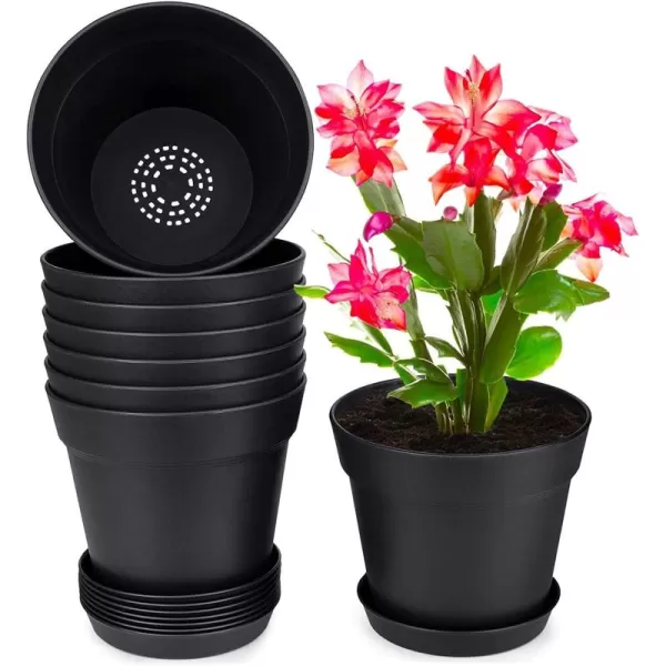 Black-8pcs