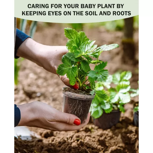 homenote Nursery Pots for Plants with Humidity Domes,3 Inch Plant Pot for Planting Plastic Seedling Pots with Drainage Holes Seed Starter Pots Indoor with Bonus 10 Plant Labels Red 