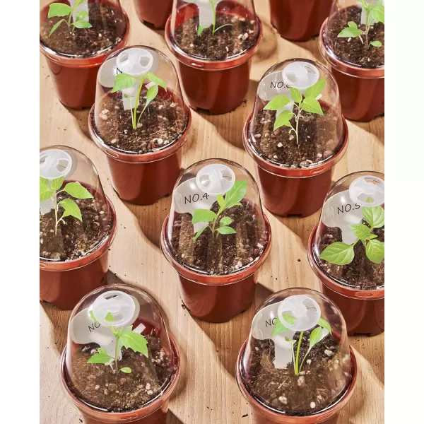 homenote Nursery Pots for Plants with Humidity Domes,3 Inch Plant Pot for Planting Plastic Seedling Pots with Drainage Holes Seed Starter Pots Indoor with Bonus 10 Plant Labels Red 