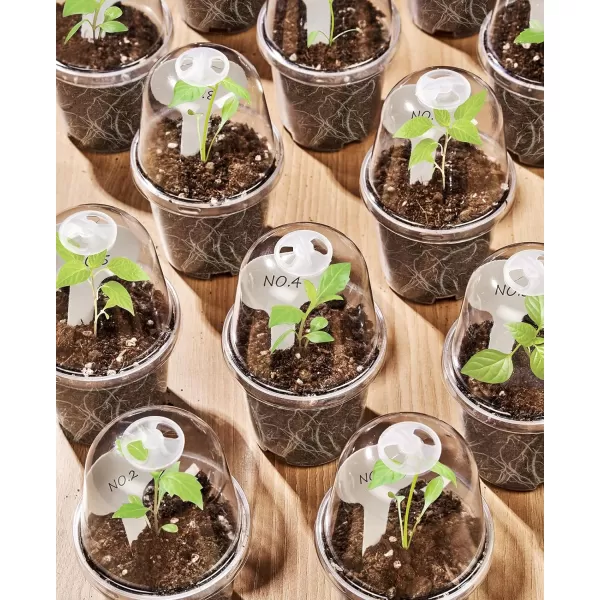 homenote Nursery Pots for Plants with Humidity Domes,3 Inch Plant Pot for Planting Plastic Seedling Pots with Drainage Holes Seed Starter Pots Indoor with Bonus 10 Plant Labels Red 