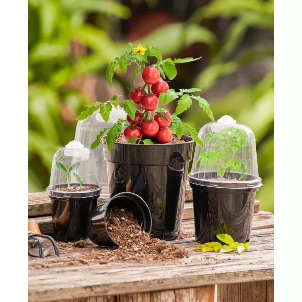 homenote Nursery Pots for Plants with Humidity Domes,3 Inch Plant Pot for Planting Plastic Seedling Pots with Drainage Holes Seed Starter Pots Indoor with Bonus 10 Plant Labels Red 