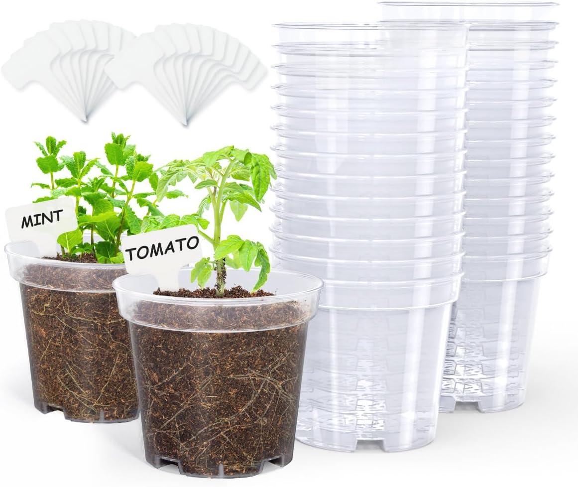 imagehomenote Clear Nursery Pots for Plants3 Inch Plant Pot for Planting Plastic Seedling Pots with Drainage Holes Seed Starter Pot Flower Pots High Transparency with 20 Plant Labels 60 PackTransparencyno Lid