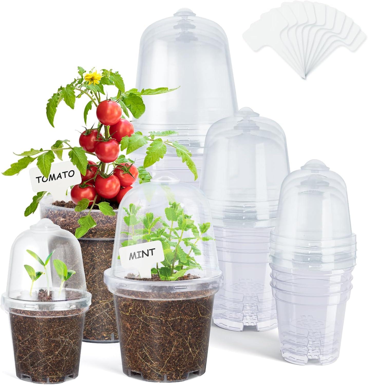 imagehomenote Clear Nursery Pots for Plants3 Inch Plant Pot for Planting Plastic Seedling Pots with Drainage Holes Seed Starter Pot Flower Pots High Transparency with 20 Plant Labels 60 PackTransparencywith Lid