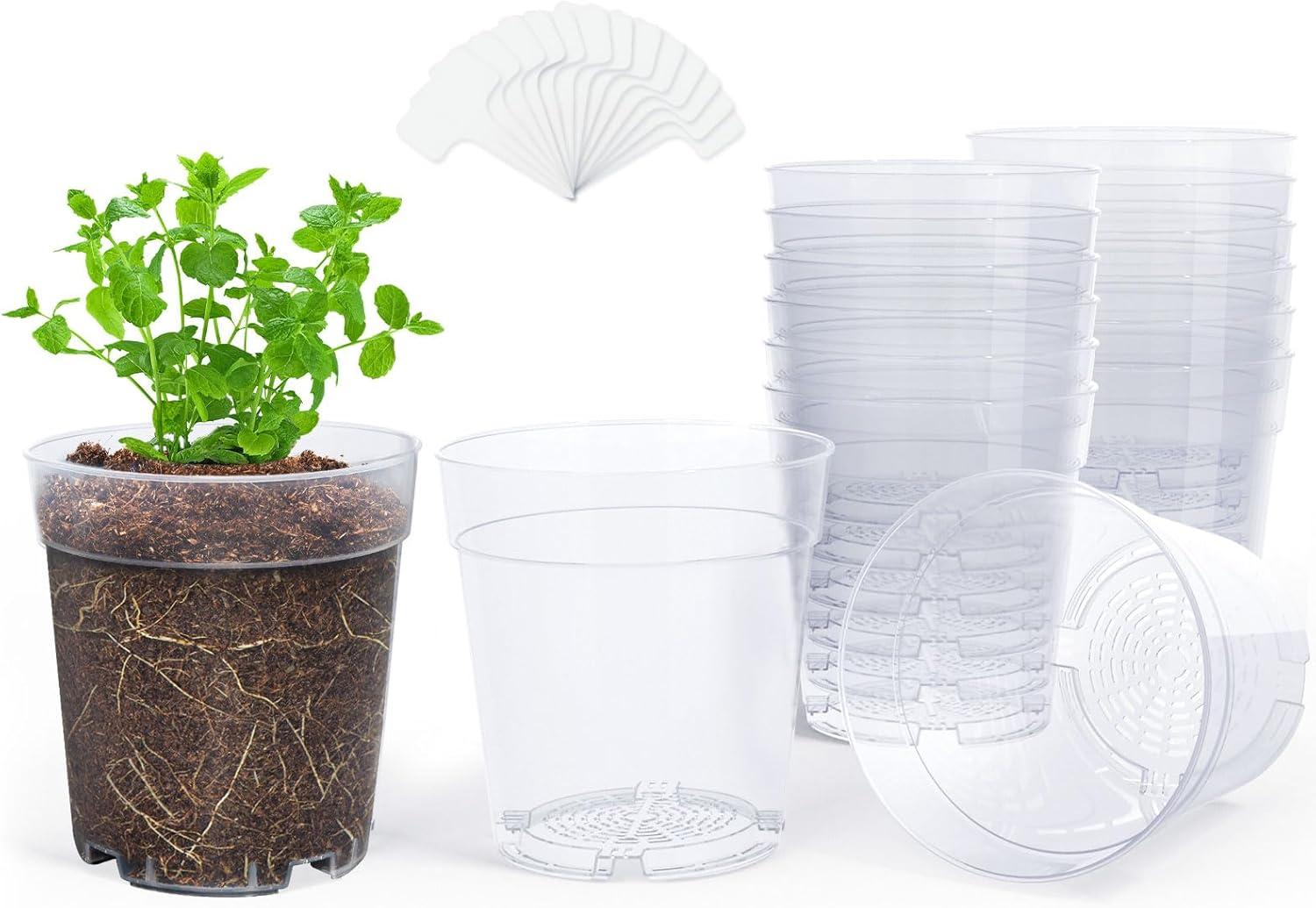 imagehomenote Clear Nursery Pots for Plants3 Inch Plant Pot for Planting Plastic Seedling Pots with Drainage Holes Seed Starter Pot Flower Pots High Transparency with 20 Plant Labels 60 PackTransparencyno Lid