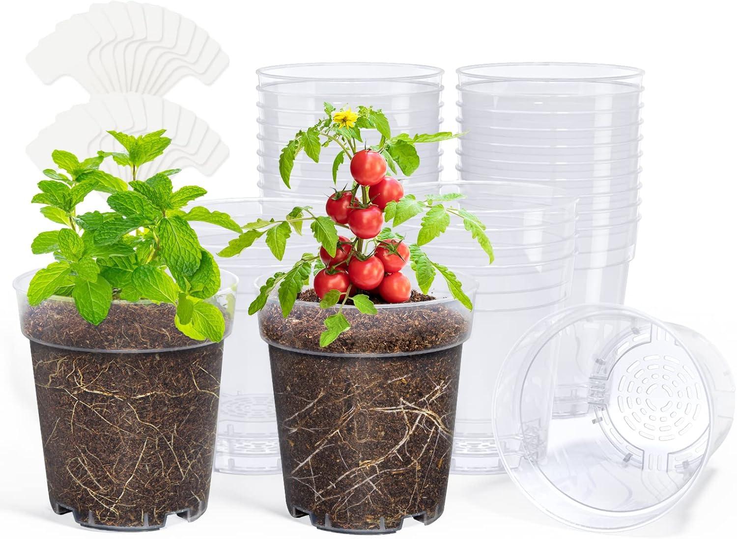 imagehomenote Clear Nursery Pots for Plants3 Inch Plant Pot for Planting Plastic Seedling Pots with Drainage Holes Seed Starter Pot Flower Pots High Transparency with 20 Plant Labels 60 PackTransparencyno Lid