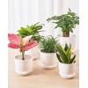 imageHomenote 76554845 Inch Modern Plastic Planter White  Indoor Plant Pot with Drainage Hole ampamp Tray for Succulents Flowers CactusWhite
