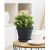 imageHomenote Pots for Plants 15 Pack 6 Inch Plastic Planters with Multiple Drainage Holes and TrayPlant Pots for All Home Garden Flowers Succulents BlackBlack8pcs