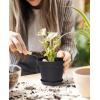 imageHomenote Pots for Plants 15 Pack 6 Inch Plastic Planters with Multiple Drainage Holes and TrayPlant Pots for All Home Garden Flowers Succulents BlackBlack15pcs