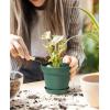 imageHomenote Pots for Plants 15 Pack 6 Inch Plastic Planters with Multiple Drainage Holes and TrayPlant Pots for All Home Garden Flowers Succulents BlackGreen15pcs