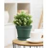imageHomenote Pots for Plants 15 Pack 6 Inch Plastic Planters with Multiple Drainage Holes and TrayPlant Pots for All Home Garden Flowers Succulents BlackGreen15pcs
