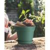 imageHomenote Pots for Plants 15 Pack 6 Inch Plastic Planters with Multiple Drainage Holes and TrayPlant Pots for All Home Garden Flowers Succulents BlackGreen15pcs