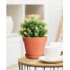 imageHomenote Pots for Plants 15 Pack 6 Inch Plastic Planters with Multiple Drainage Holes and TrayPlant Pots for All Home Garden Flowers Succulents BlackTerra Cotta15pcs