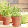 imageHomenote Pots for Plants 15 Pack 6 Inch Plastic Planters with Multiple Drainage Holes and TrayPlant Pots for All Home Garden Flowers Succulents BlackTerra Cotta15pcs