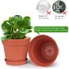 imageHomenote Pots for Plants 15 Pack 6 Inch Plastic Planters with Multiple Drainage Holes and TrayPlant Pots for All Home Garden Flowers Succulents BlackTerra Cotta15pcs