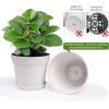 imageHomenote Pots for Plants 15 Pack 6 Inch Plastic Planters with Multiple Drainage Holes and TrayPlant Pots for All Home Garden Flowers Succulents BlackWhite15pcs