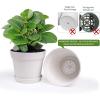imageHomenote Pots for Plants 15 Pack 6 Inch Plastic Planters with Multiple Drainage Holes and TrayPlant Pots for All Home Garden Flowers Succulents BlackWhite8pcs