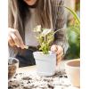 imageHomenote Pots for Plants 15 Pack 6 Inch Plastic Planters with Multiple Drainage Holes and TrayPlant Pots for All Home Garden Flowers Succulents BlackWhite15pcs