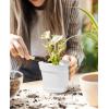 imageHomenote Pots for Plants 15 Pack 6 Inch Plastic Planters with Multiple Drainage Holes and TrayPlant Pots for All Home Garden Flowers Succulents BlackWhite8pcs