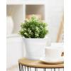 imageHomenote Pots for Plants 15 Pack 6 Inch Plastic Planters with Multiple Drainage Holes and TrayPlant Pots for All Home Garden Flowers Succulents BlackWhite15pcs
