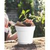 imageHomenote Pots for Plants 15 Pack 6 Inch Plastic Planters with Multiple Drainage Holes and TrayPlant Pots for All Home Garden Flowers Succulents BlackWhite8pcs