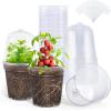 imagehomenote Clear Nursery Pots for Plants3 Inch Plant Pot for Planting Plastic Seedling Pots with Drainage Holes Seed Starter Pot Flower Pots High Transparency with 20 Plant Labels 60 PackTransparencywith Lid
