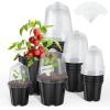imagehomenote Clear Nursery Pots for Plants3 Inch Plant Pot for Planting Plastic Seedling Pots with Drainage Holes Seed Starter Pot Flower Pots High Transparency with 20 Plant Labels 60 PackBlackwith Lid