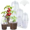 imagehomenote Clear Nursery Pots for Plants3 Inch Plant Pot for Planting Plastic Seedling Pots with Drainage Holes Seed Starter Pot Flower Pots High Transparency with 20 Plant Labels 60 PackTransparencywith Lid