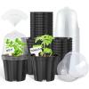 imagehomenote Clear Nursery Pots for Plants3 Inch Plant Pot for Planting Plastic Seedling Pots with Drainage Holes Seed Starter Pot Flower Pots High Transparency with 20 Plant Labels 60 PackBlackwith Lid