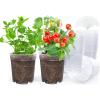 imagehomenote Clear Nursery Pots for Plants3 Inch Plant Pot for Planting Plastic Seedling Pots with Drainage Holes Seed Starter Pot Flower Pots High Transparency with 20 Plant Labels 60 PackTransparencyno Lid