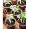 imagehomenote Clear Nursery Pots for Plants3 Inch Plant Pot for Planting Plastic Seedling Pots with Drainage Holes Seed Starter Pot Flower Pots High Transparency with 20 Plant Labels 60 PackTransparencyno Lid