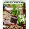 imagehomenote Clear Nursery Pots for Plants3 Inch Plant Pot for Planting Plastic Seedling Pots with Drainage Holes Seed Starter Pot Flower Pots High Transparency with 20 Plant Labels 60 PackTransparencyno Lid