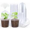 imagehomenote Clear Nursery Pots for Plants3 Inch Plant Pot for Planting Plastic Seedling Pots with Drainage Holes Seed Starter Pot Flower Pots High Transparency with 20 Plant Labels 60 PackTransparencywith Lid