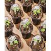 imagehomenote Clear Nursery Pots for Plants3 Inch Plant Pot for Planting Plastic Seedling Pots with Drainage Holes Seed Starter Pot Flower Pots High Transparency with 20 Plant Labels 60 PackBlackwith Lid