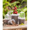 imagehomenote Clear Nursery Pots for Plants3 Inch Plant Pot for Planting Plastic Seedling Pots with Drainage Holes Seed Starter Pot Flower Pots High Transparency with 20 Plant Labels 60 PackTransparencywith Lid