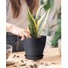 imagehomenote Plant Pots Set of 15 Plastic Planters with Multiple Drainage Holes and Tray 6 inch Indoor Plant Pot for All Home Garden Flowers Succulents Black