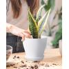 imagehomenote Plant Pots Set of 15 Plastic Planters with Multiple Drainage Holes and Tray 6 inch Indoor Plant Pot for All Home Garden Flowers Succulents White