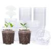 imagehomenote Clear Nursery Pots for Plants3 Inch Plant Pot for Planting Plastic Seedling Pots with Drainage Holes Seed Starter Pot Flower Pots High Transparency with 20 Plant Labels 60 PackTransparencyno Lid