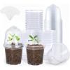 imagehomenote Clear Nursery Pots for Plants3 Inch Plant Pot for Planting Plastic Seedling Pots with Drainage Holes Seed Starter Pot Flower Pots High Transparency with 20 Plant Labels 60 PackTransparencywith Lid