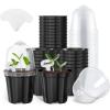 Black-with Lid