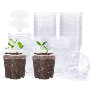 imagehomenote Clear Nursery Pots for Plants3 Inch Plant Pot for Planting Plastic Seedling Pots with Drainage Holes Seed Starter Pot Flower Pots High Transparency with 20 Plant Labels 60 PackTransparencyno Lid