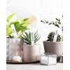 imageHomenote 200 Pcs 4 Inch Plastic Plant Labels Waterproof Plant Tags for SeedlingVegetable Gardening TagsGarden Markers Outdoor for Plants Name Sign with Permanet Marking PenWhiteWhite