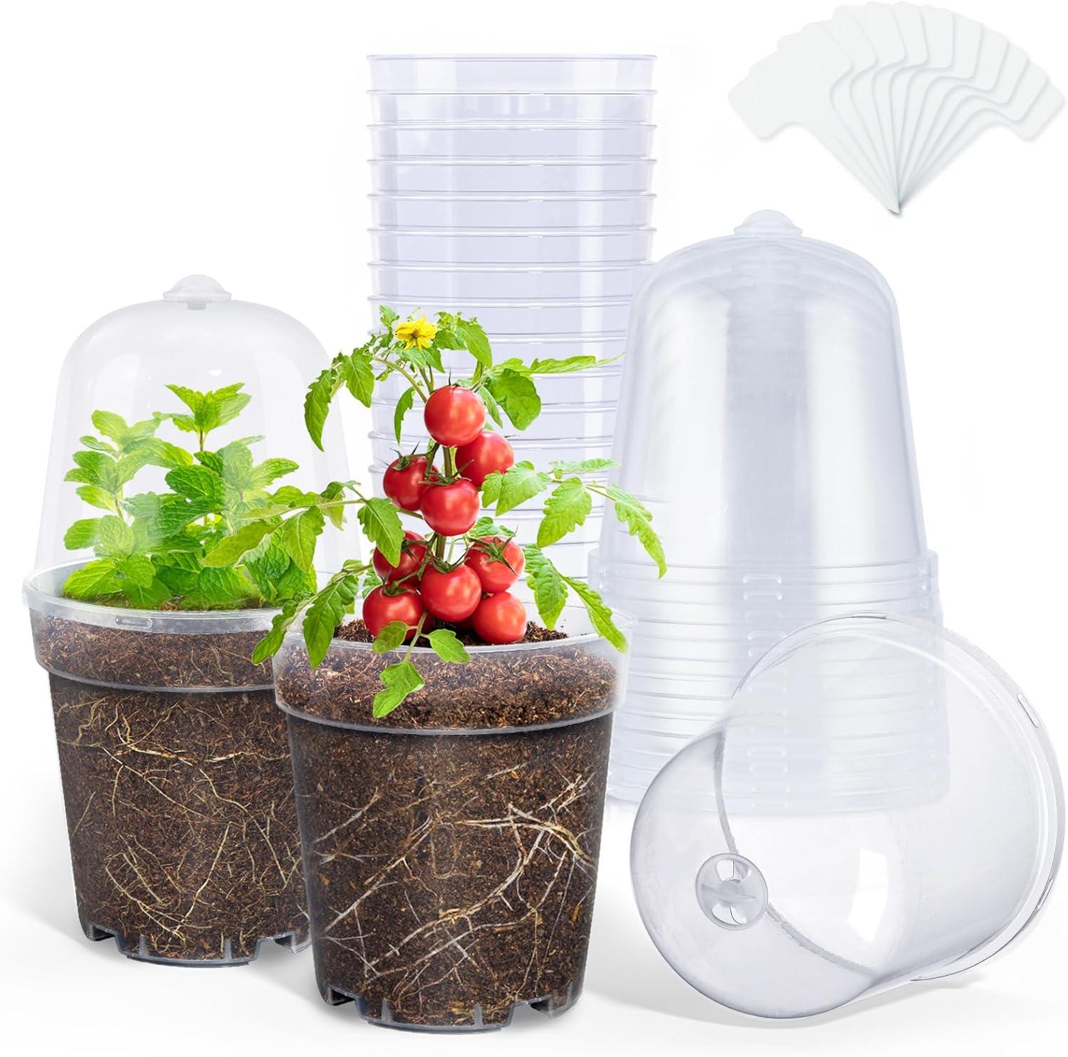 imagehomenote Clear Nursery Pots for Plants4567 Inch Plant Pot for Planting Plastic Seedling Pots with Drainage Holes Seed Starter Pot Flower Pots High Transparency with 20 Plant Labels 30 PackTransparencywith Lid